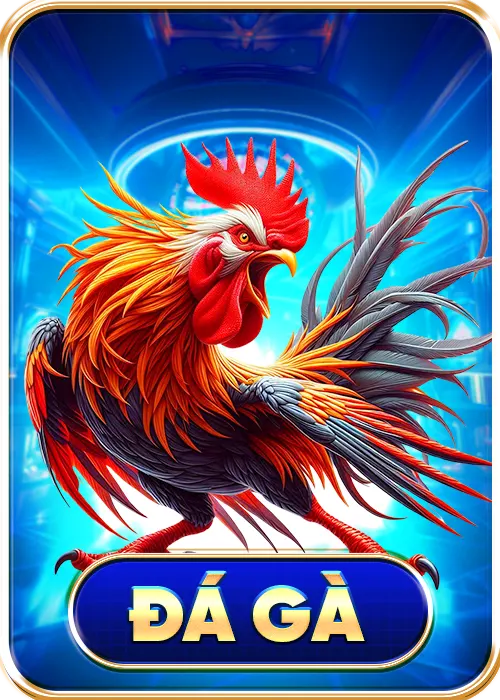 đá gà