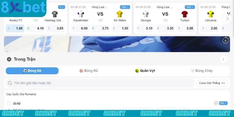 FAQ về các bước đăng nhập 8xbet