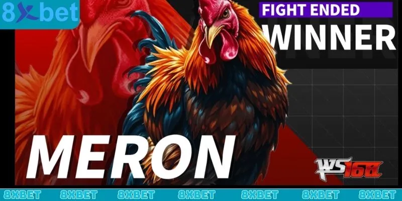 Sảnh đá gà WS168 luôn là sân chơi đẳng cấp tại nhà cái 8xbet